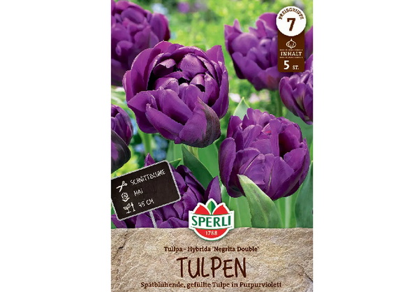 Negrita double tulipán
